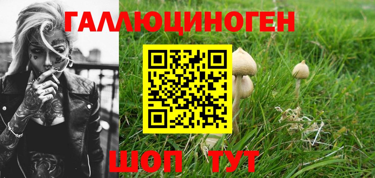 Галлюциногенные грибы MAGIC MUSHROOMS Сегежа