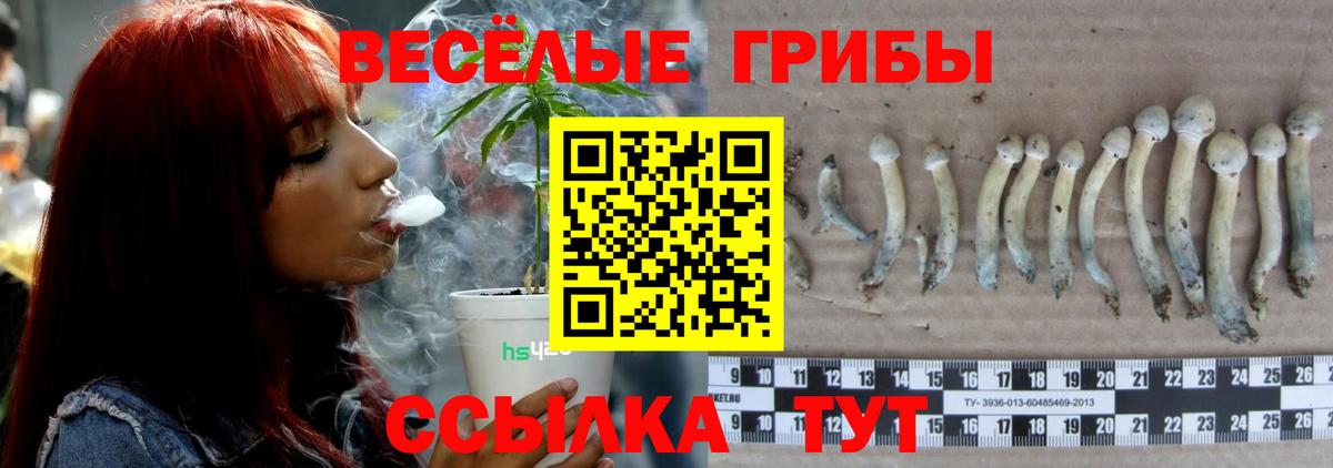 Псилоцибиновые грибы ЛСД  Псилоцибиновые грибы мицелий  Вход с VPN  Сегежа 